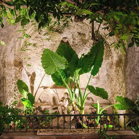 Nero Rooms-2